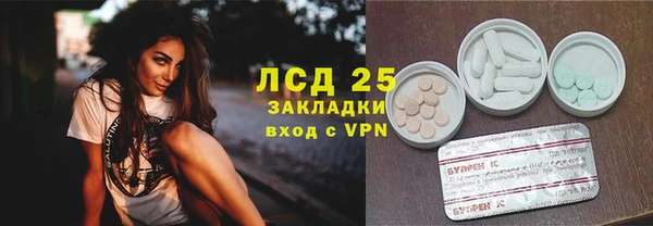 сатива Няндома
