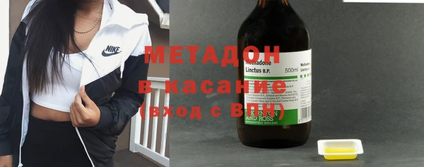 сатива Няндома