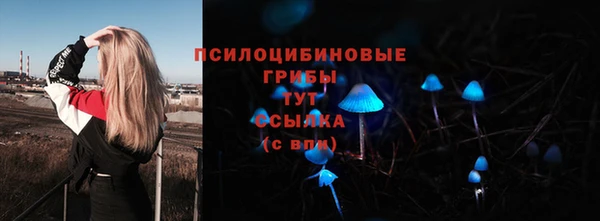 герыч Новокубанск