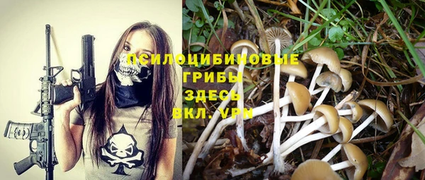 синтетический гашиш Осинники