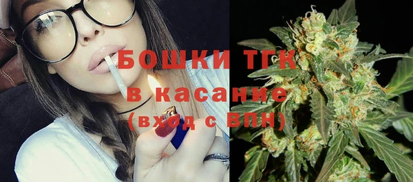 индика Щучье