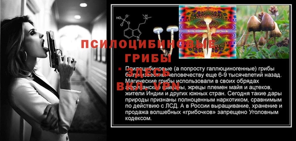 синтетический гашиш Осинники