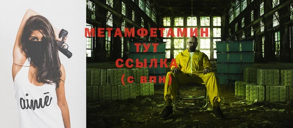 сатива Няндома