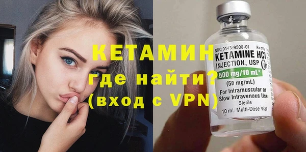 сатива Няндома
