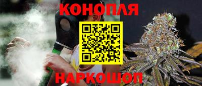 СК Дубна
