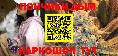 СК Дубна