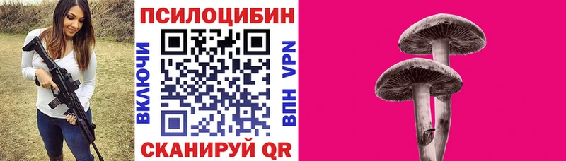 shop формула  Кизляр  Псилоцибиновые грибы прущие грибы  OMG вход 