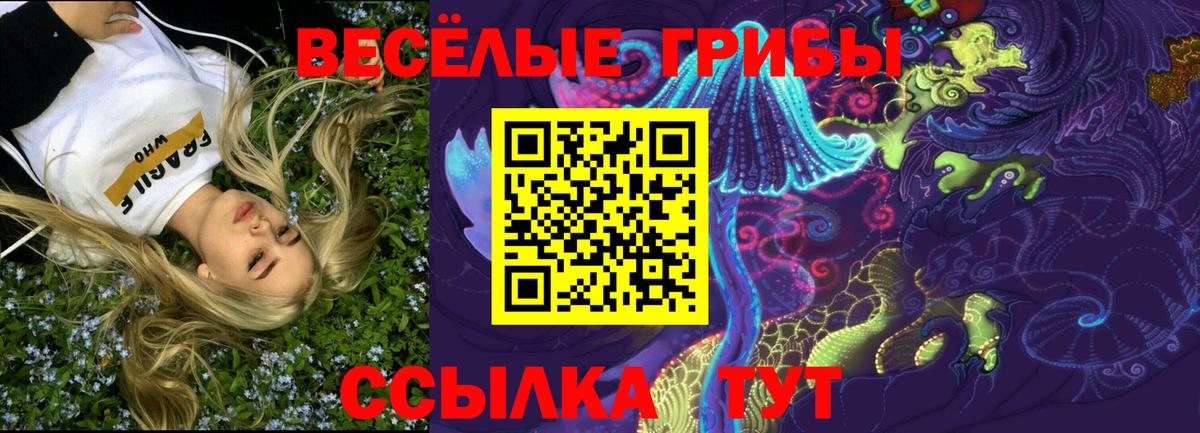 Галлюциногенные грибы прущие грибы  Галлюциногенные грибы ЛСД  Кизляр  Вход с VPN 
